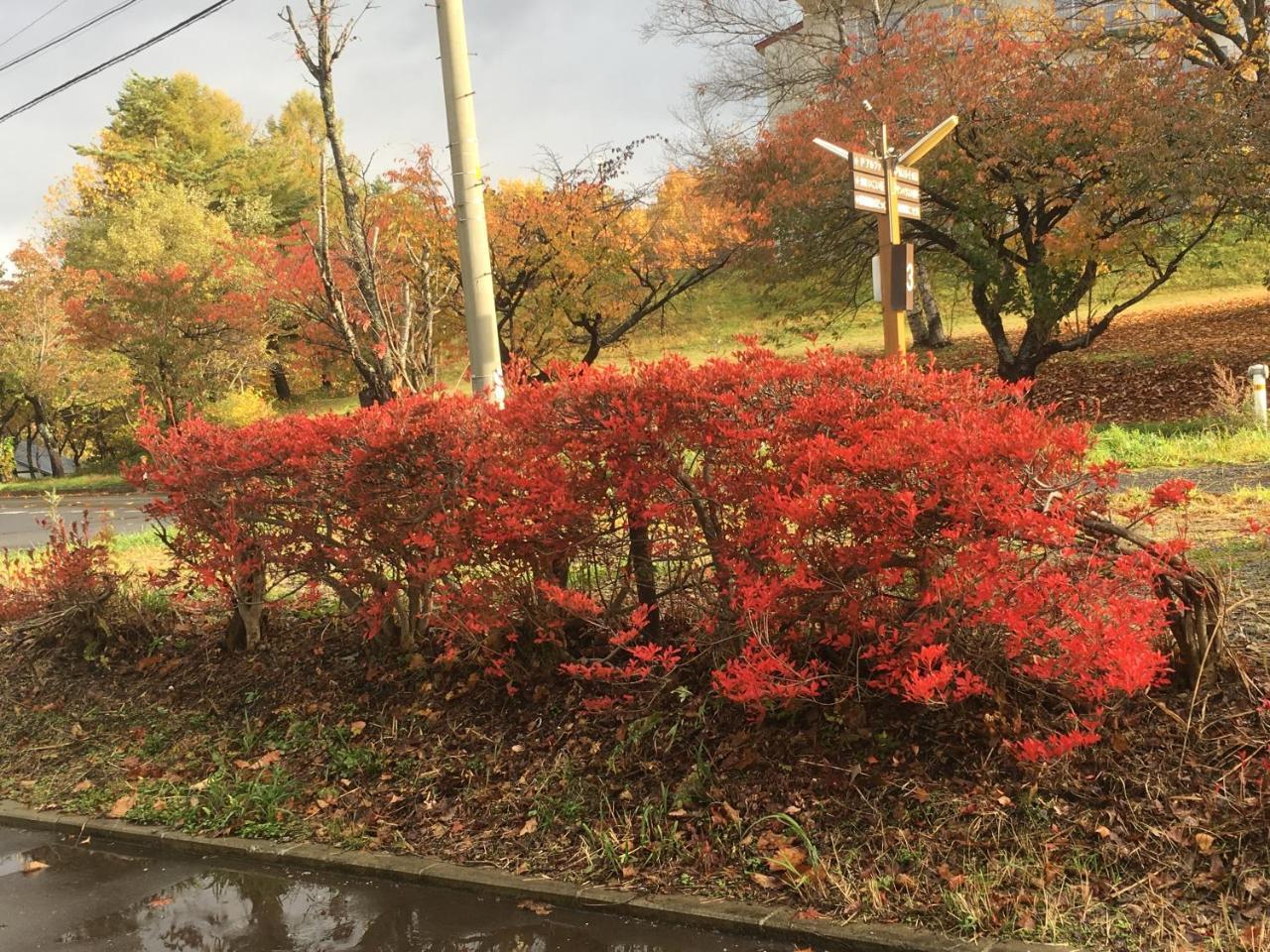 温泉ゲストハウス やすもり 本館 Hachimantai  Exterior photo