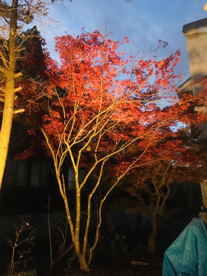 温泉ゲストハウス やすもり 本館 Hachimantai  Exterior photo